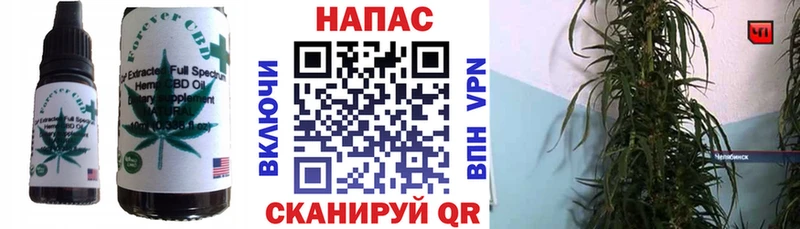 blacksprut   Ардатов  Cannafood конопля 
