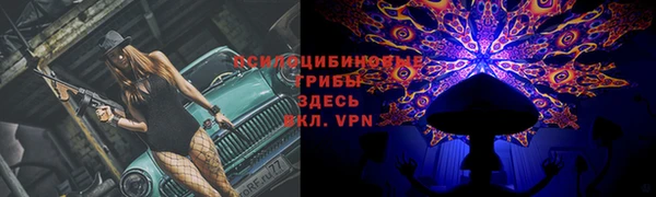 2c-b Алзамай