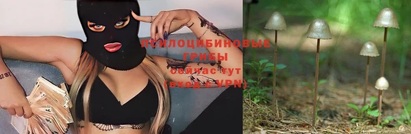 гидропоника Алексин