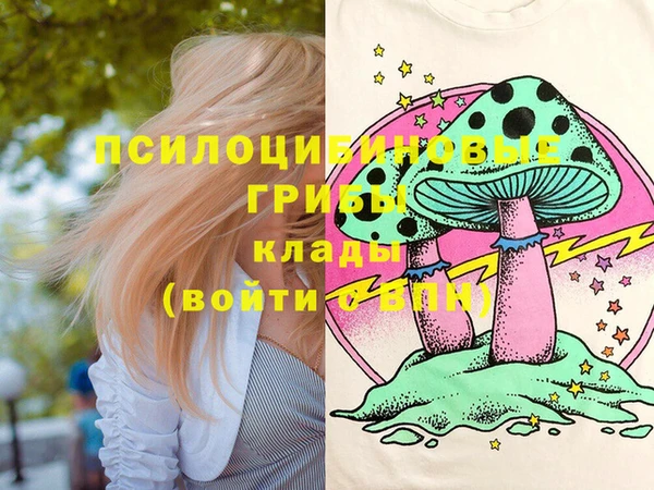 твердый Алексеевка