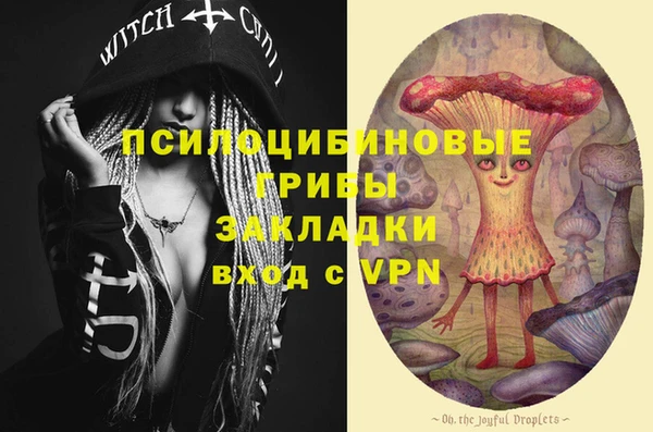 твердый Алексеевка