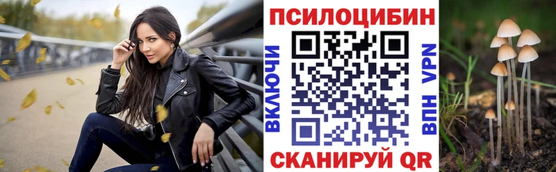 Псилоцибиновые грибы GOLDEN TEACHER  дарнет шоп  Ардатов 